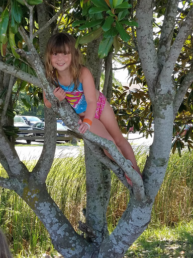 Theme Park «Frontier Town Western Theme Park», reviews and photos, 8428 Stephen Decatur Hwy, Berlin, MD 21811, USA