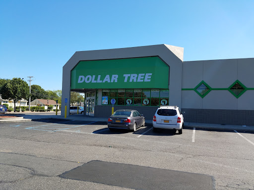 Dollar Store «Dollar Tree», reviews and photos, 3395 Great Neck Rd, Amityville, NY 11701, USA