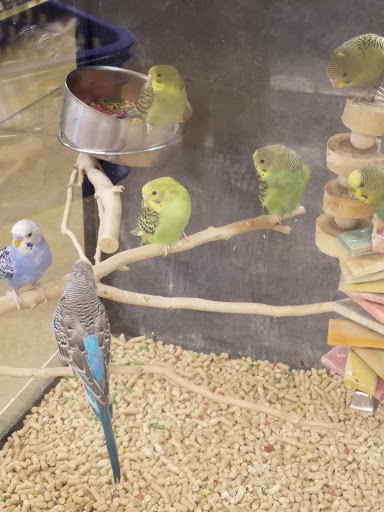 Pet Supply Store «PetSmart», reviews and photos, 5812 Youngstown Warren Rd, Niles, OH 44446, USA