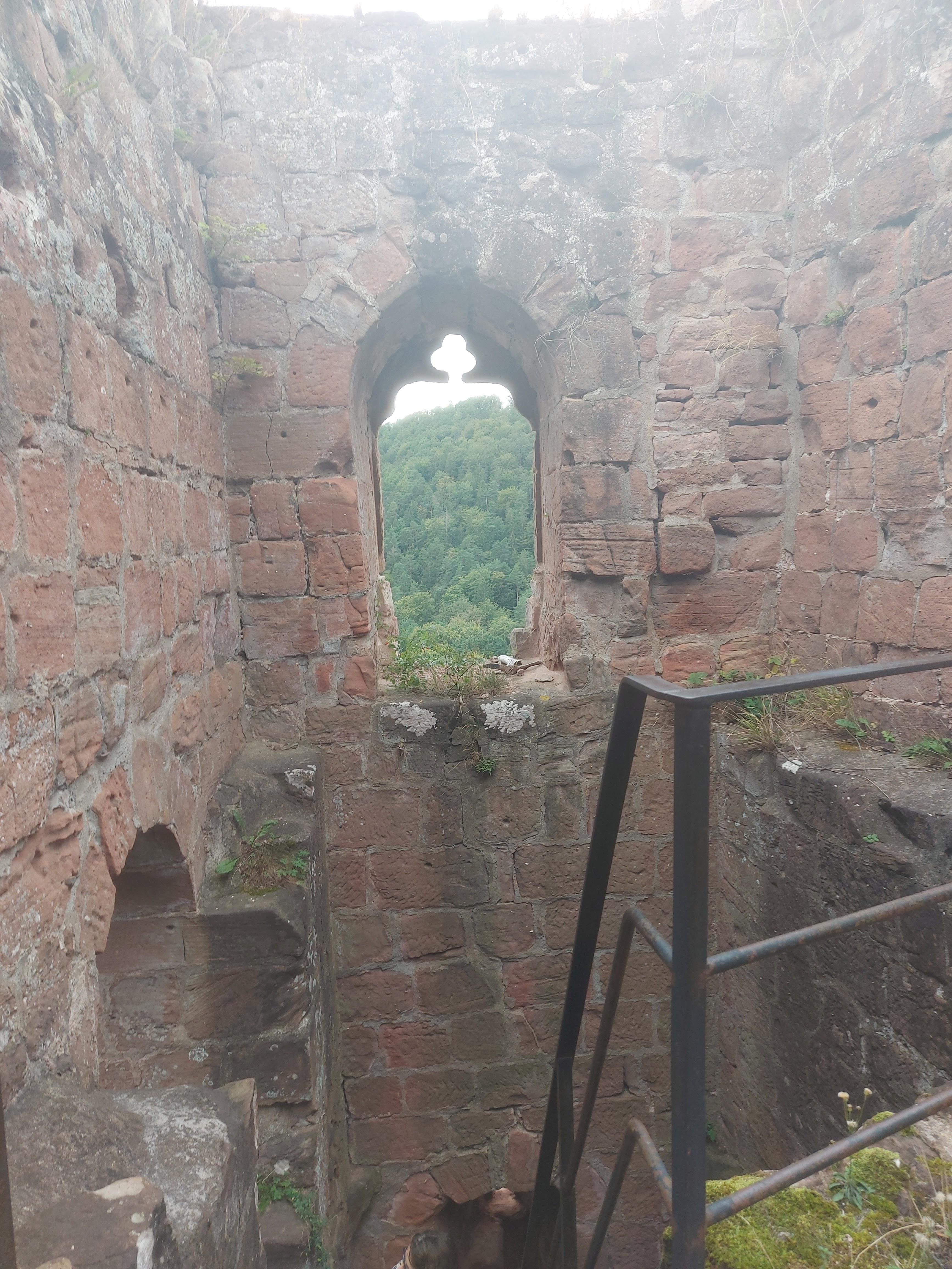 Photo n° 5 de l'avis de Marie-Luise.e fait le 04/09/2023 à 13:59