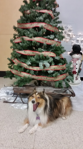 Pet Supply Store «PetSmart», reviews and photos, 14 Crossing Way #2, Augusta, ME 04330, USA