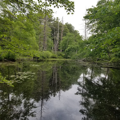 Sudbury Tree Service