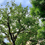 Photo n°8 de l'avis de Rainer.a fait le 23/06/2019 à 17:01 sur le  Gasthof zum Krebs à Kinding