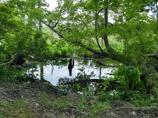 Newport News paved trail head