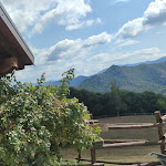 Photo n°3 de l'avis de Iva.o fait le 02/09/2021 à 06:14 sur le  Ristorante Tipico Vecchio Mulino à Entracque