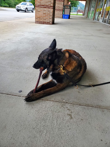 Pet Store «The Pet Place», reviews and photos, 240 Shadowline Dr, Boone, NC 28607, USA