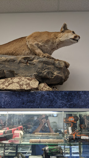 Pawn Shop «Pawn World - Northern Ave.», reviews and photos, 1822 E Northern Ave, Kingman, AZ 86409, USA