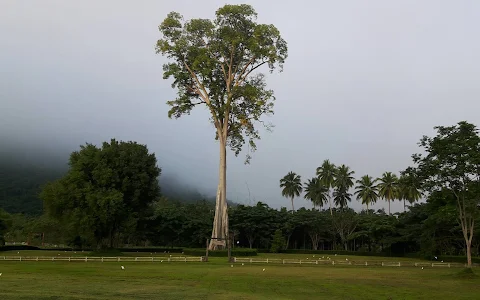 ต้นผึ้งฟาร์ม สวนผึ้ง Tonphung Farm image