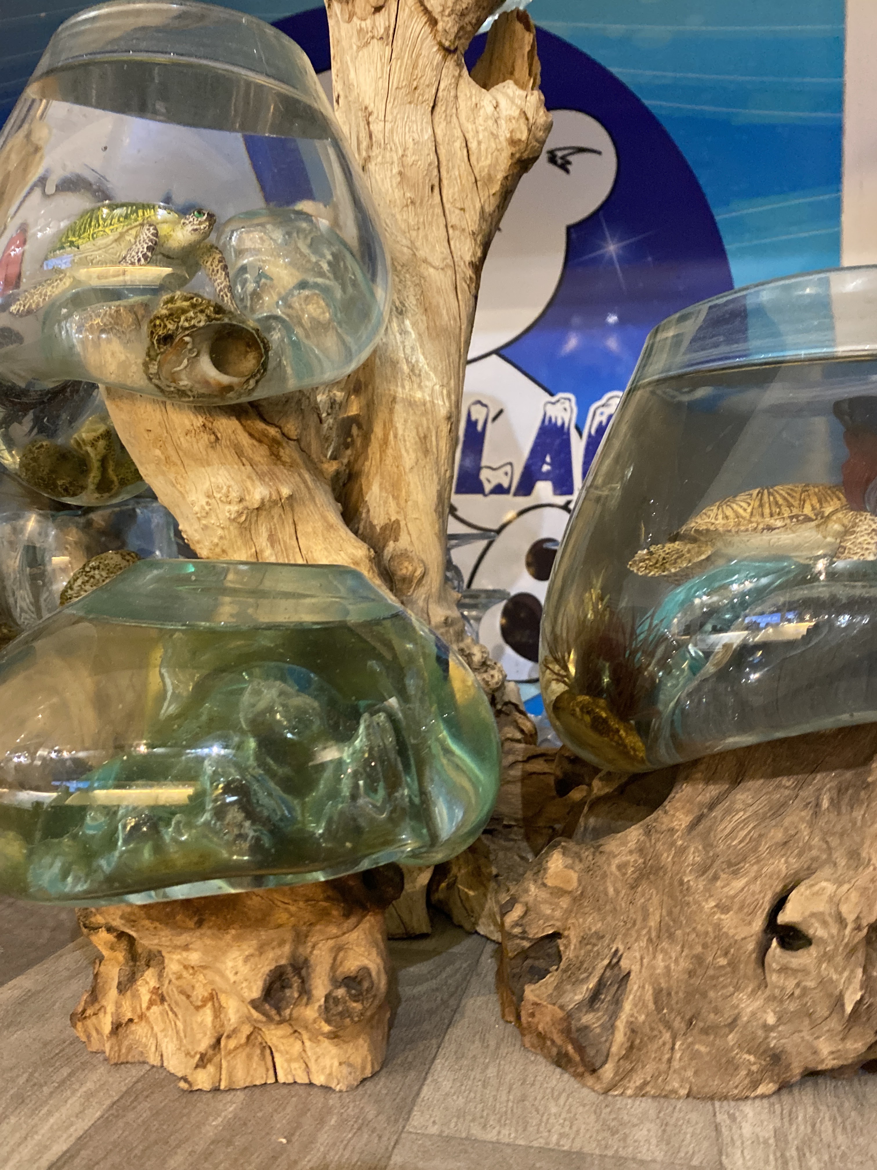 Photo n° 2 de l'avis de Matis.e fait le 04/08/2023 à 20:58