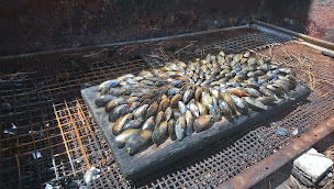 Photo n°5 de JOYEAU MICHEL à Dolus-d'Oléron ()