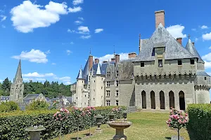 Château de Langeais image