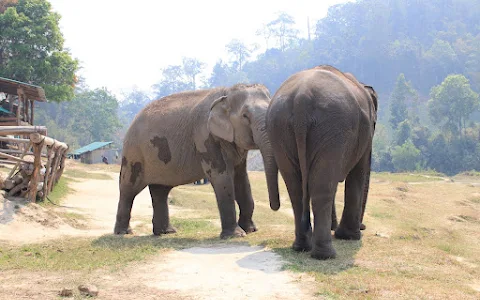 Into the Wild Elephant Camp image