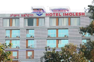 Hotel Imolesh image