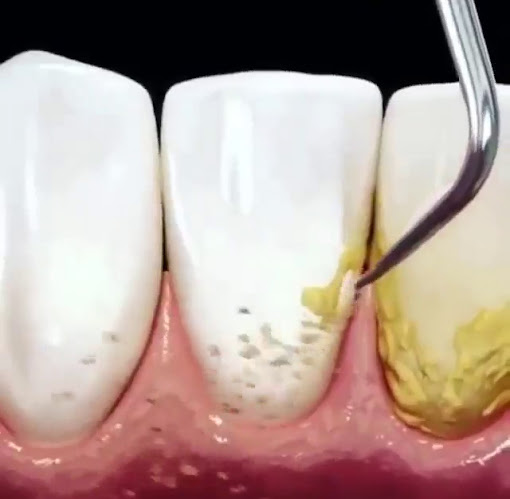 Clinic for Implant & Orthodontic Dentistry - Dentist