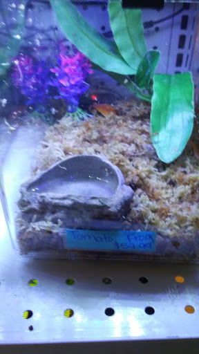 Pet Store «Pet Cove», reviews and photos, 820 E Center St, Kingsport, TN 37660, USA