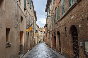 Montalcino centro storico image