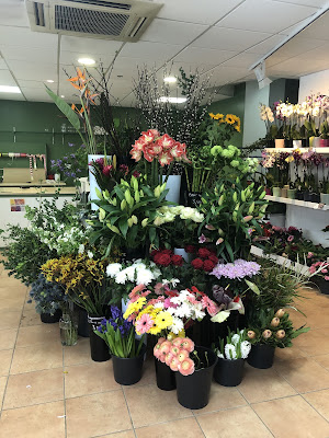 Marilyn Fleurs à Champigny-sur-Marne