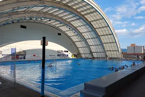 National Center water polo image