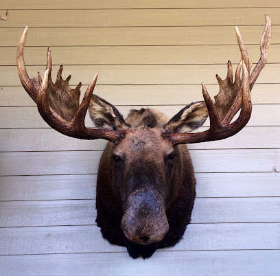 Rough Country (RC) Taxidermy
