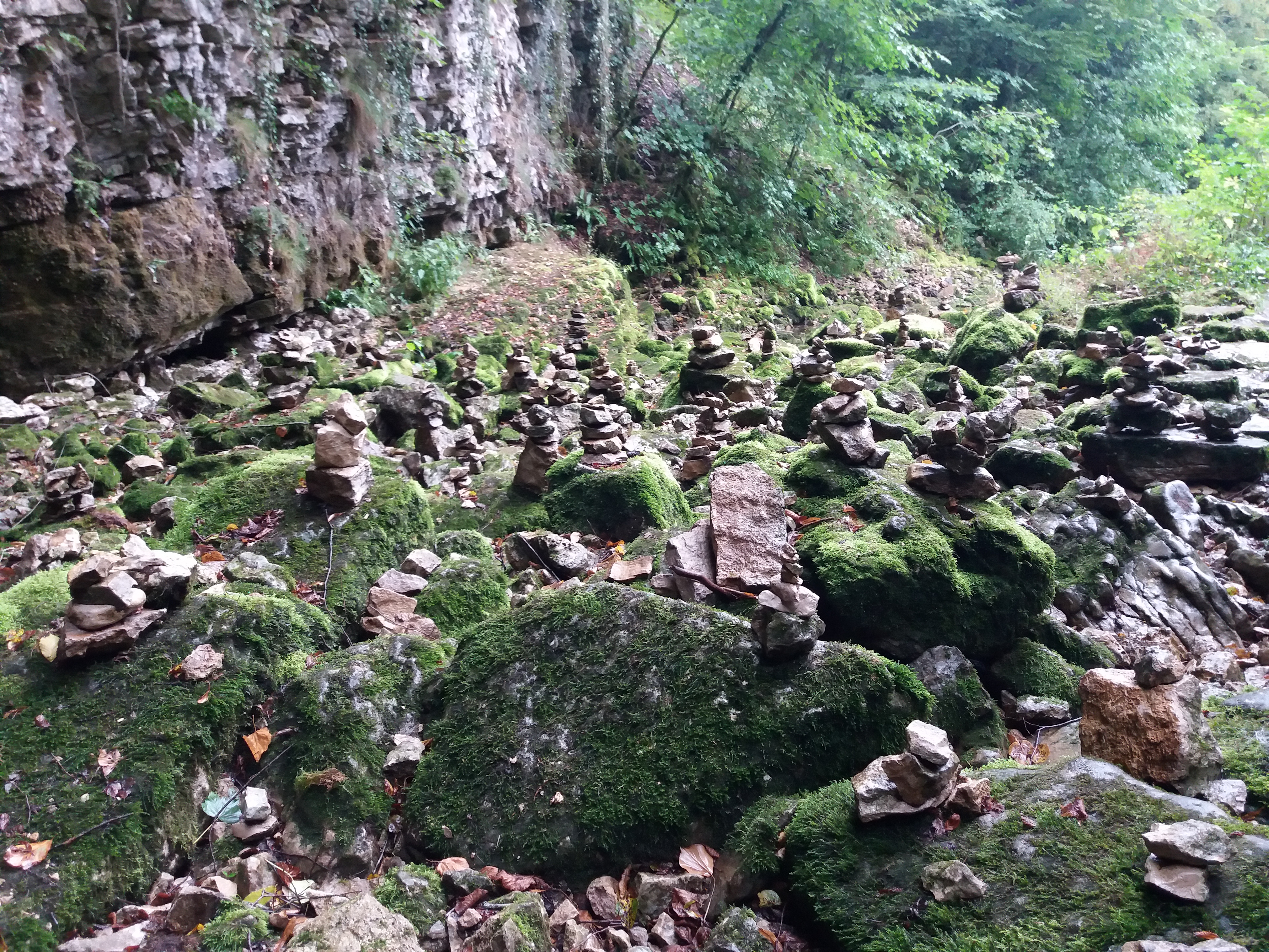 Photo n° 6 de l'avis de Patrice.E fait le 20/08/2019 à 21:08