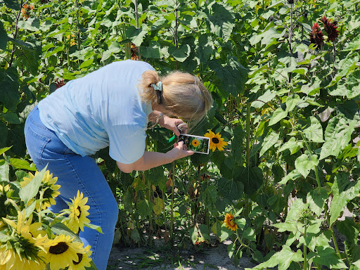 Amusement Center «Stanley Pond Adventure Farm», reviews and photos, 15426 County Rd 48, Astatula, FL 34705, USA