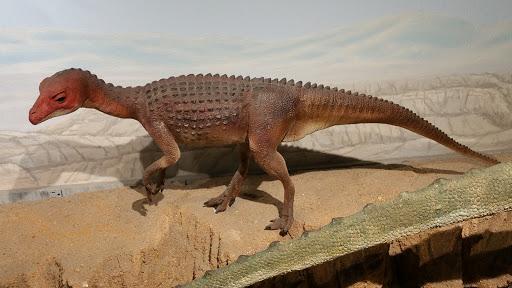 Tourist Attraction «Arizona Museum of Natural History», reviews and photos, 53 N Macdonald, Mesa, AZ 85201, USA