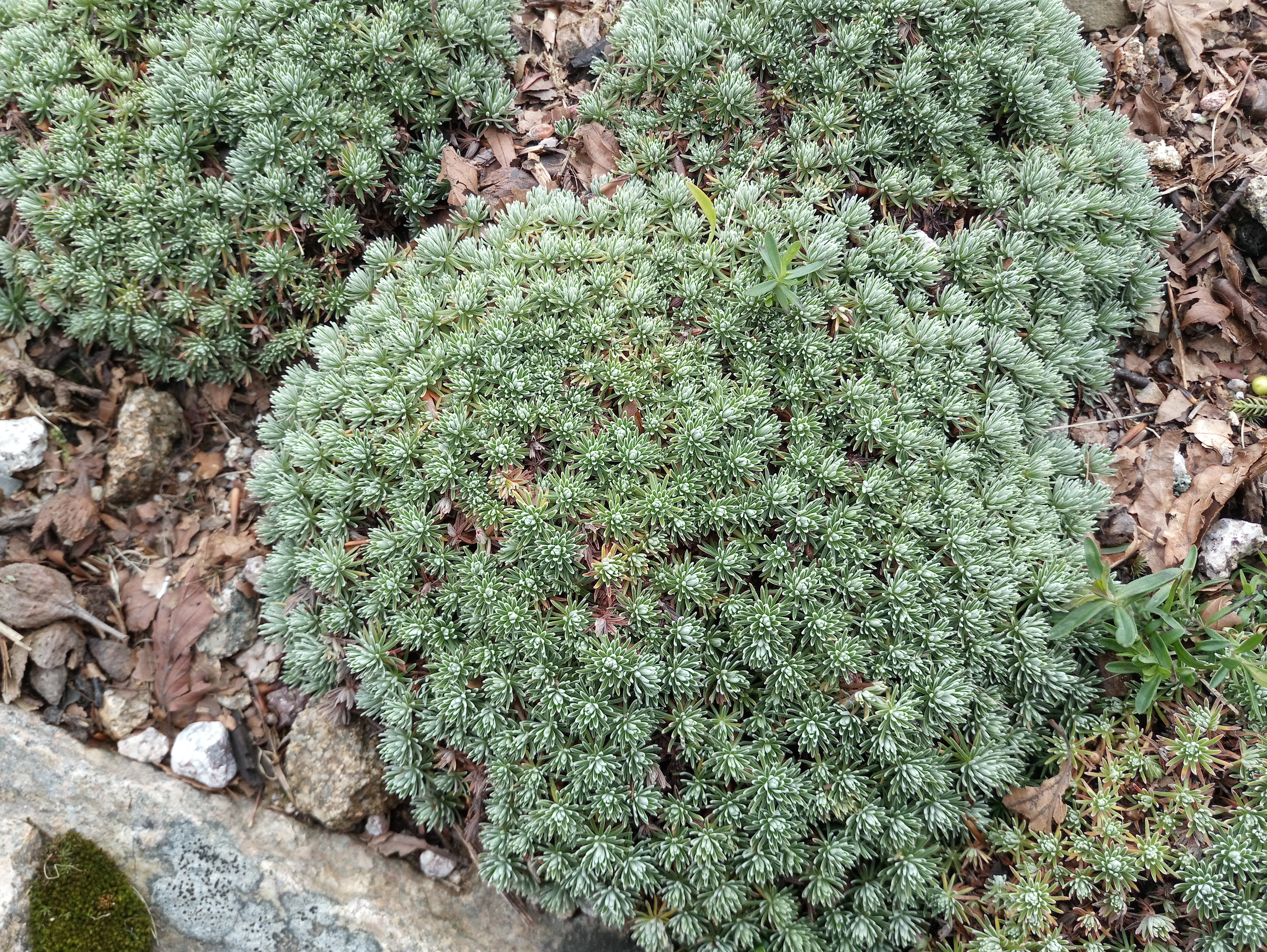 Photo n° 8 de l'avis de Pascal.a fait le 31/07/2019 à 06:36