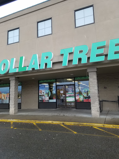 Dollar Store «Dollar Tree», reviews and photos, 3907 Bridgeport Way W, University Place, WA 98466, USA