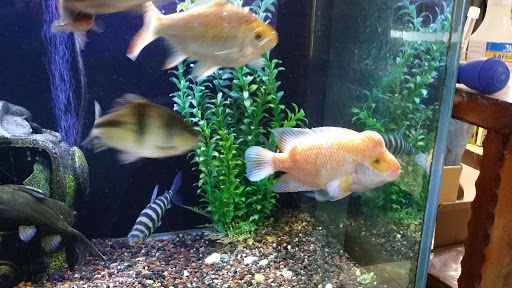 Pet Supply Store «Paws & Claws & Co», reviews and photos, 1801 E Market St, Warsaw, IN 46580, USA