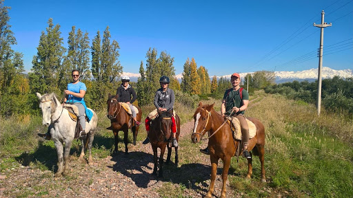 Horseback riding nearby Mendoza