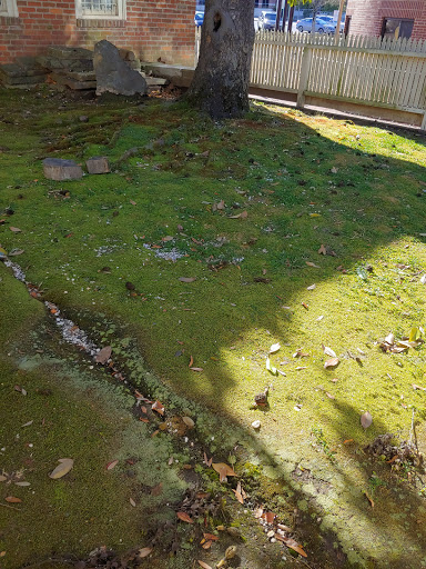 Museum «Historic Arkansas Museum», reviews and photos, 200 E 3rd St, Little Rock, AR 72201, USA