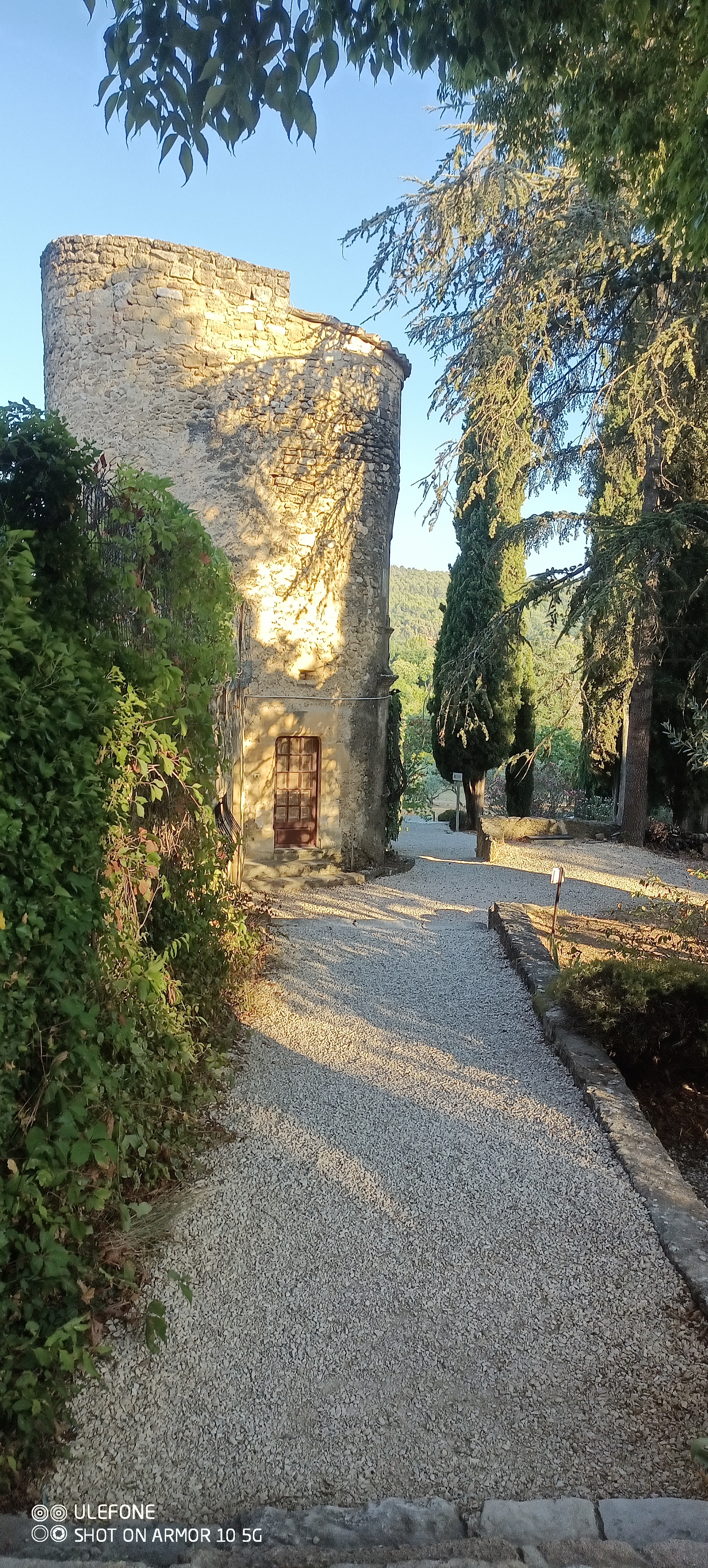 Photo n° 3 de l'avis de Gustavo.e fait le 16/08/2022 à 07:09