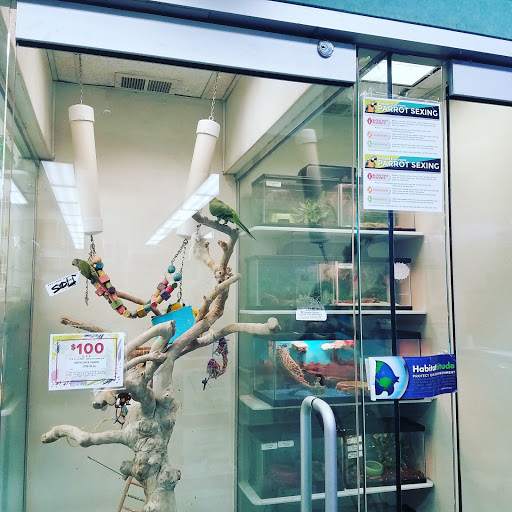 Pet Store «Petland Discounts - Pitkin Avenue», reviews and photos, 1689 Pitkin Ave, Brooklyn, NY 11212, USA