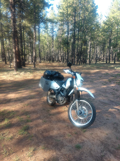 Motorcycle Dealer «Apache Motorcycles Mesa», reviews and photos, 1350 S Clearview Ave, Mesa, AZ 85209, USA