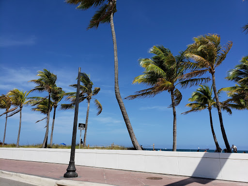 State Park «Hugh Taylor Birch State Park», reviews and photos, 3109 E Sunrise Blvd, Fort Lauderdale, FL 33304, USA