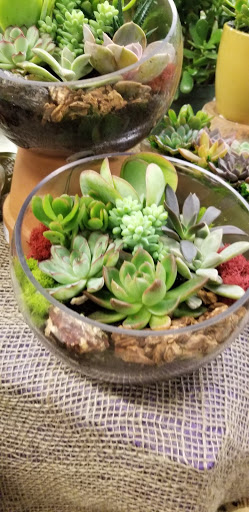 Florist «Sieck-Wright Floral Products», reviews and photos, 231 Monmouth St, Hightstown, NJ 08520, USA