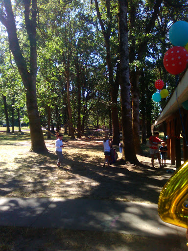 Park «Hammerle Park», reviews and photos, 1505 Lewis St, West Linn, OR 97068, USA
