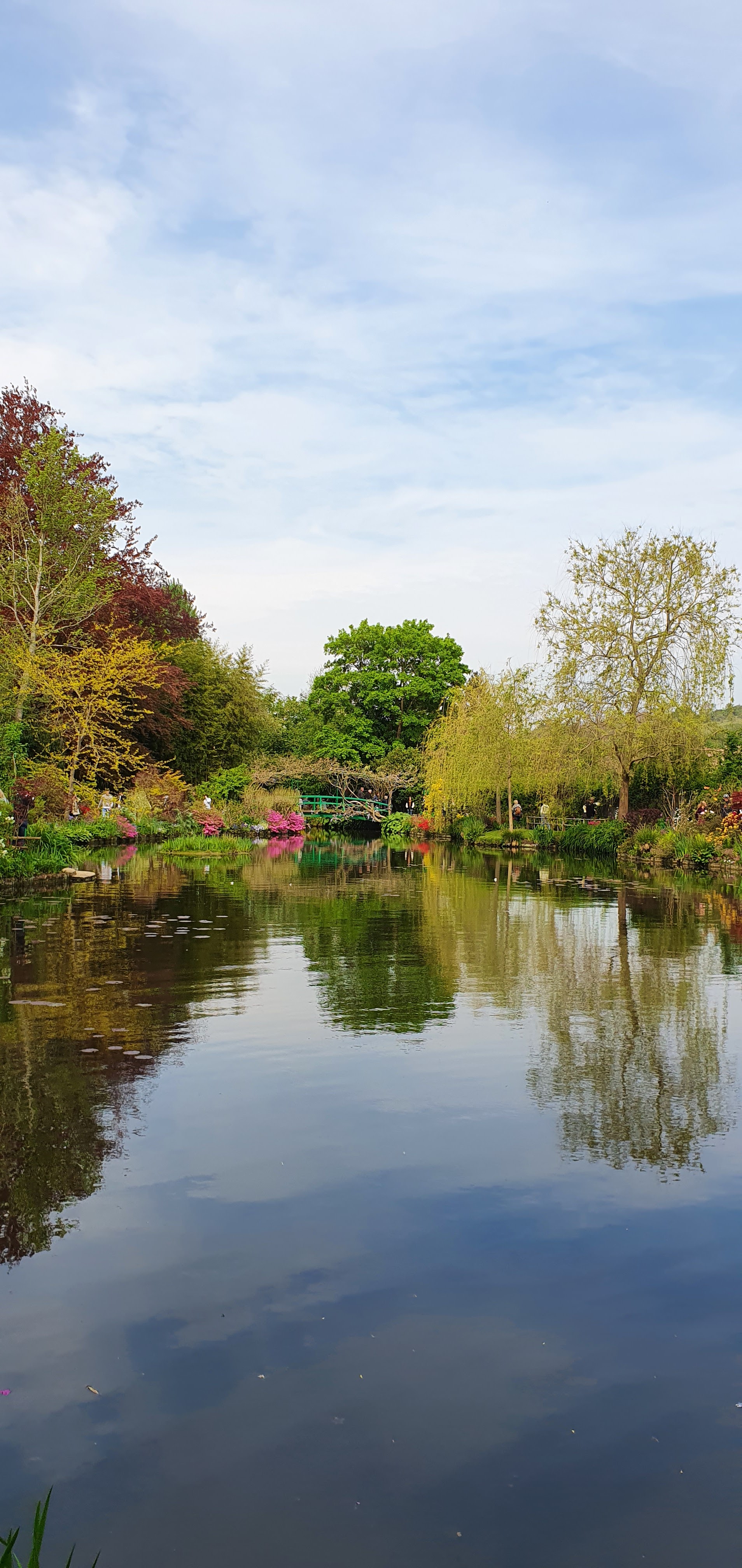 Photo n° 7 de l'avis de CS.. fait le 03/06/2022 à 19:41