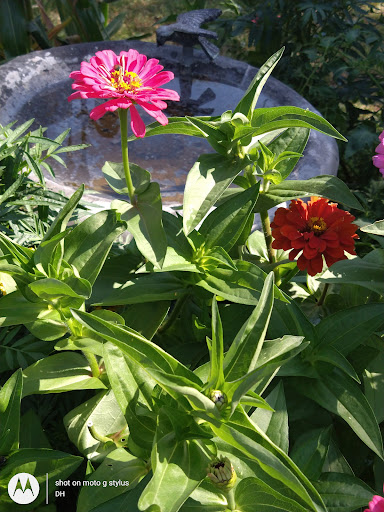 Thrift Store «Second Blessing Thrift Store Inc.», reviews and photos, 2323 Central Ave, Wichita, KS 67214, USA