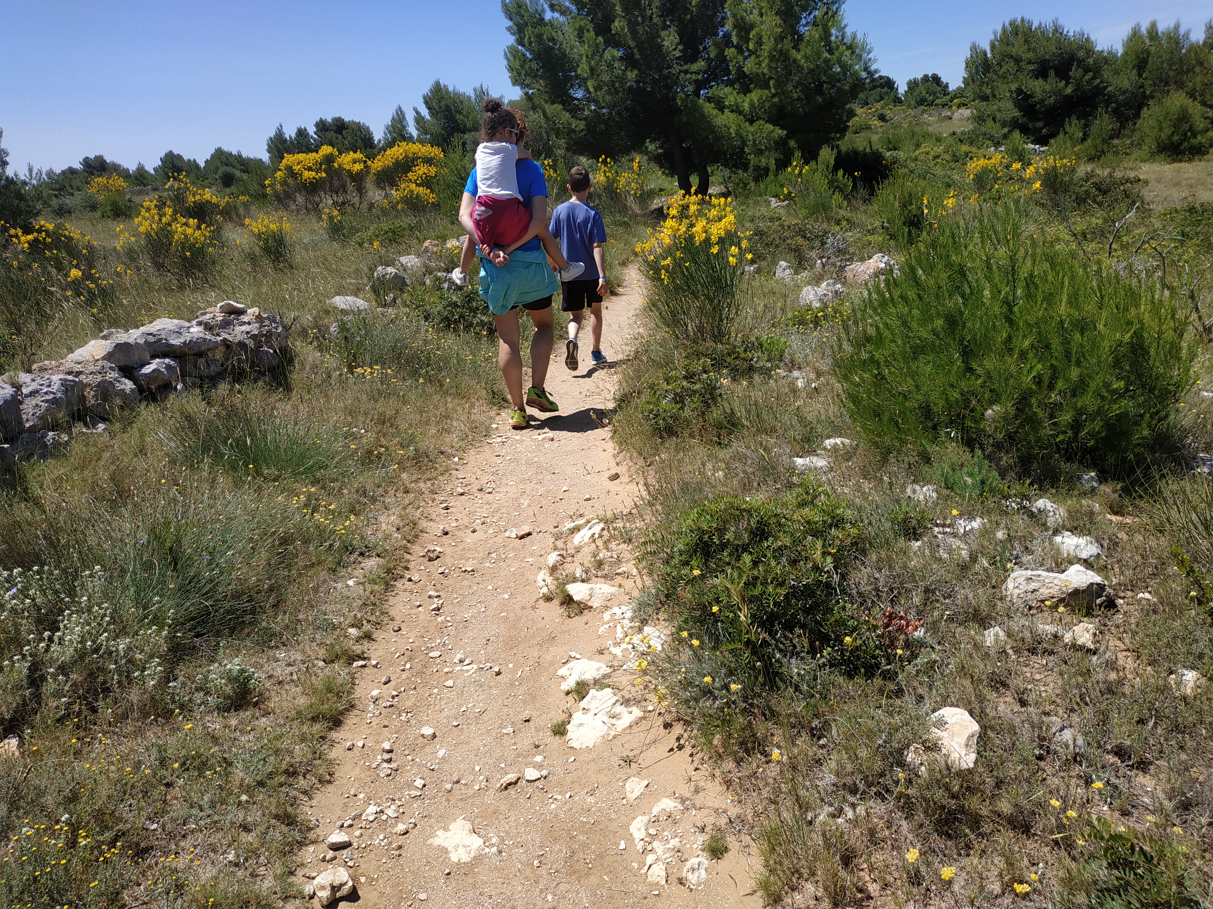 Photo n° 2 de l'avis de joan.e fait le 09/06/2019 à 12:36