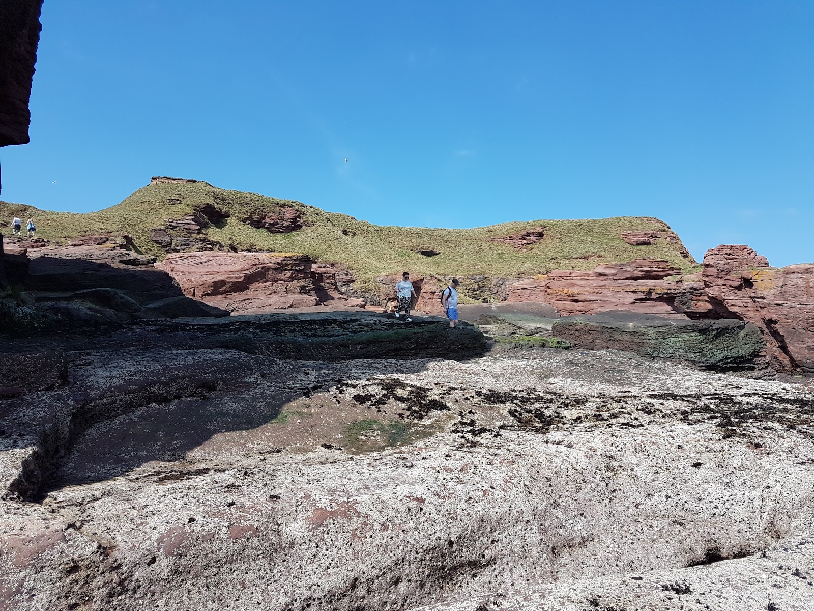 Foto av Seaton Cliffs Beach beläget i naturområde