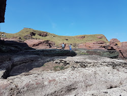 Foto av Seaton Cliffs Beach beläget i naturområde