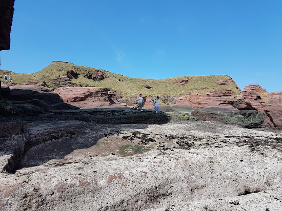 Seaton Cliffs Beach