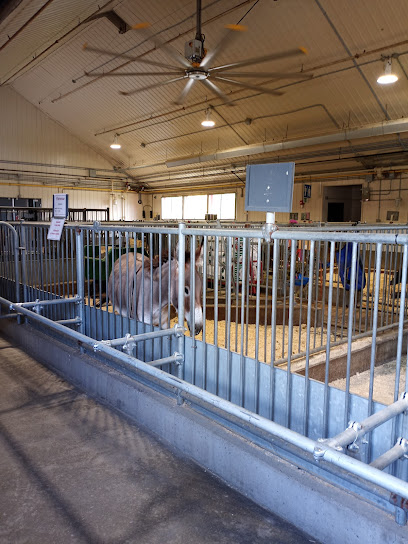 Horse and Cattle Barn