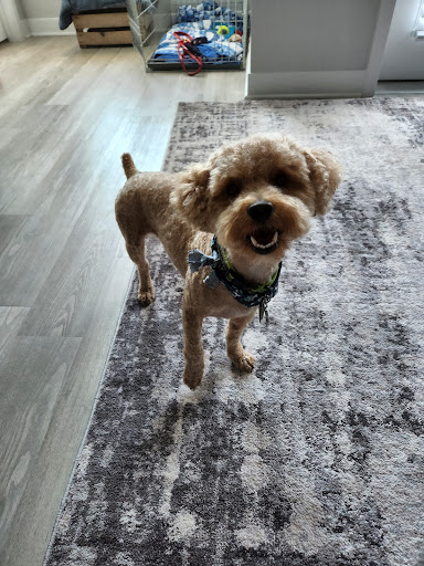 Pet Supply Store «Treats Unleashed», reviews and photos, 306 Mid Rivers Center, St Peters, MO 63376, USA