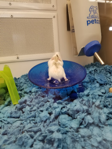 Pet Supply Store «Petco Animal Supplies», reviews and photos, 3424 W Shore Dr, Holland, MI 49424, USA