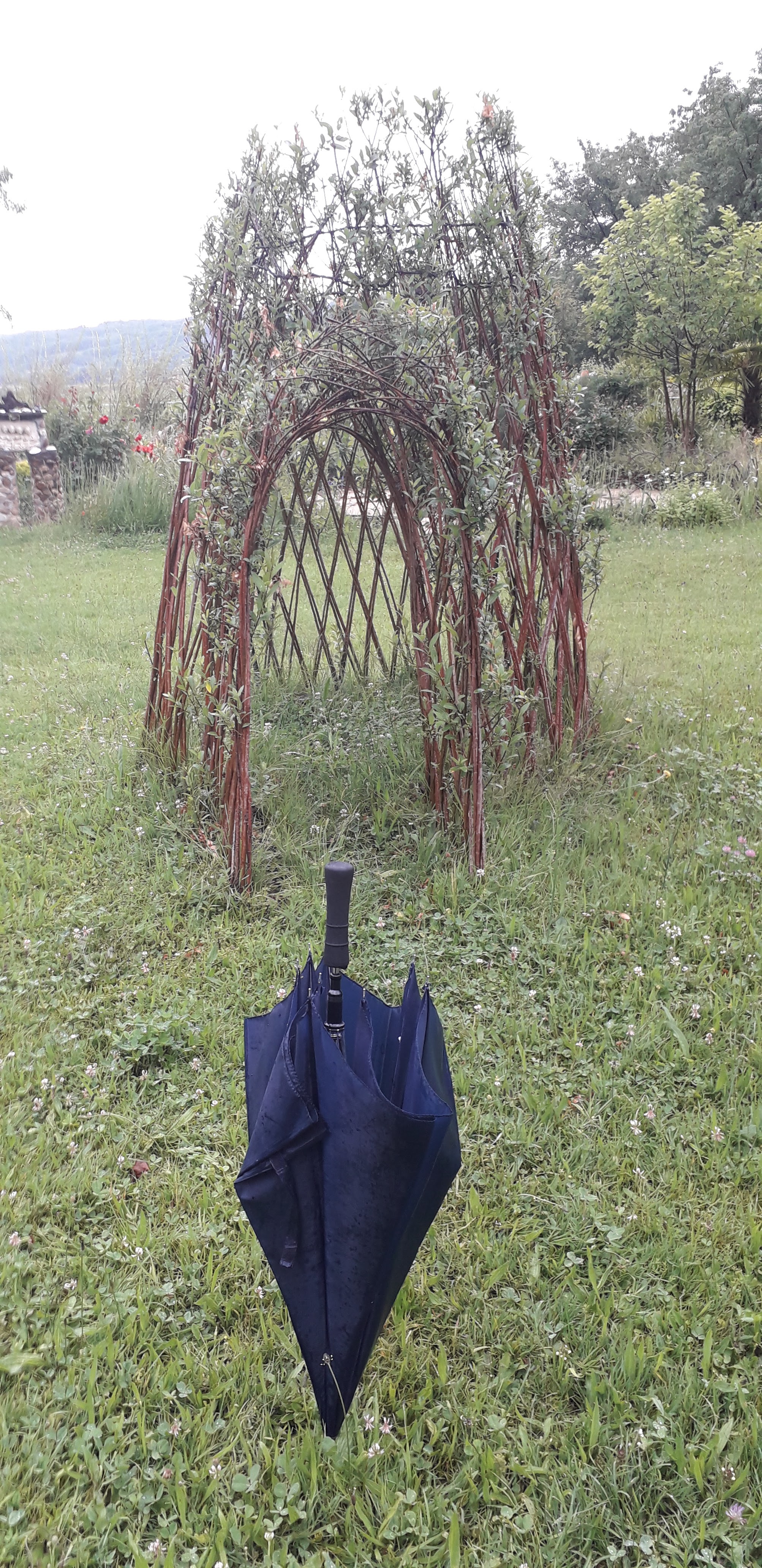 Photo n° 5 de l'avis de juan.e fait le 14/06/2019 à 10:45