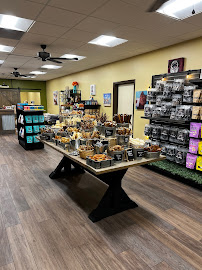 Pet Wants Lake Wylie - Photo 9 - Car repair in Lake Wylie, SC, Rock Hill