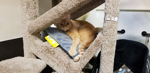 Pet Supply Store «Wilsonville- Natures Pet», reviews and photos, 9740 SW Wilsonville Rd #210, Wilsonville, OR 97070, USA