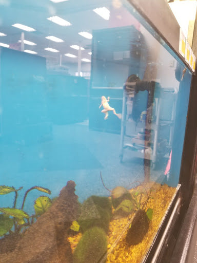 Pet Supply Store «Petco Animal Supplies», reviews and photos, 1815 Newport Blvd b, Costa Mesa, CA 92627, USA